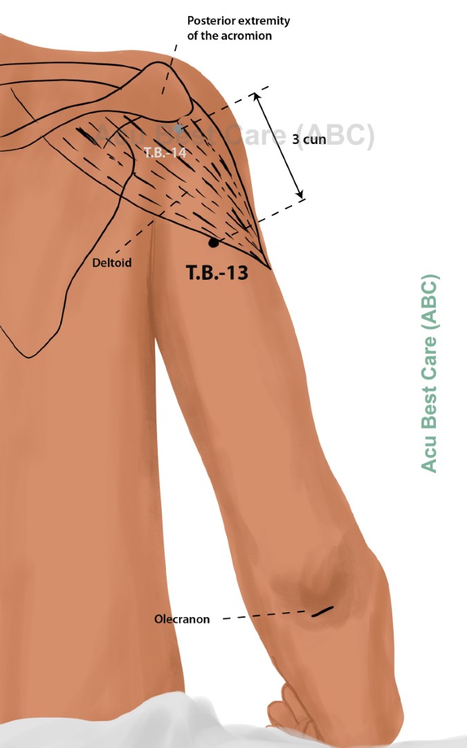 Acubestcare Meridian TW-13 or TB-13